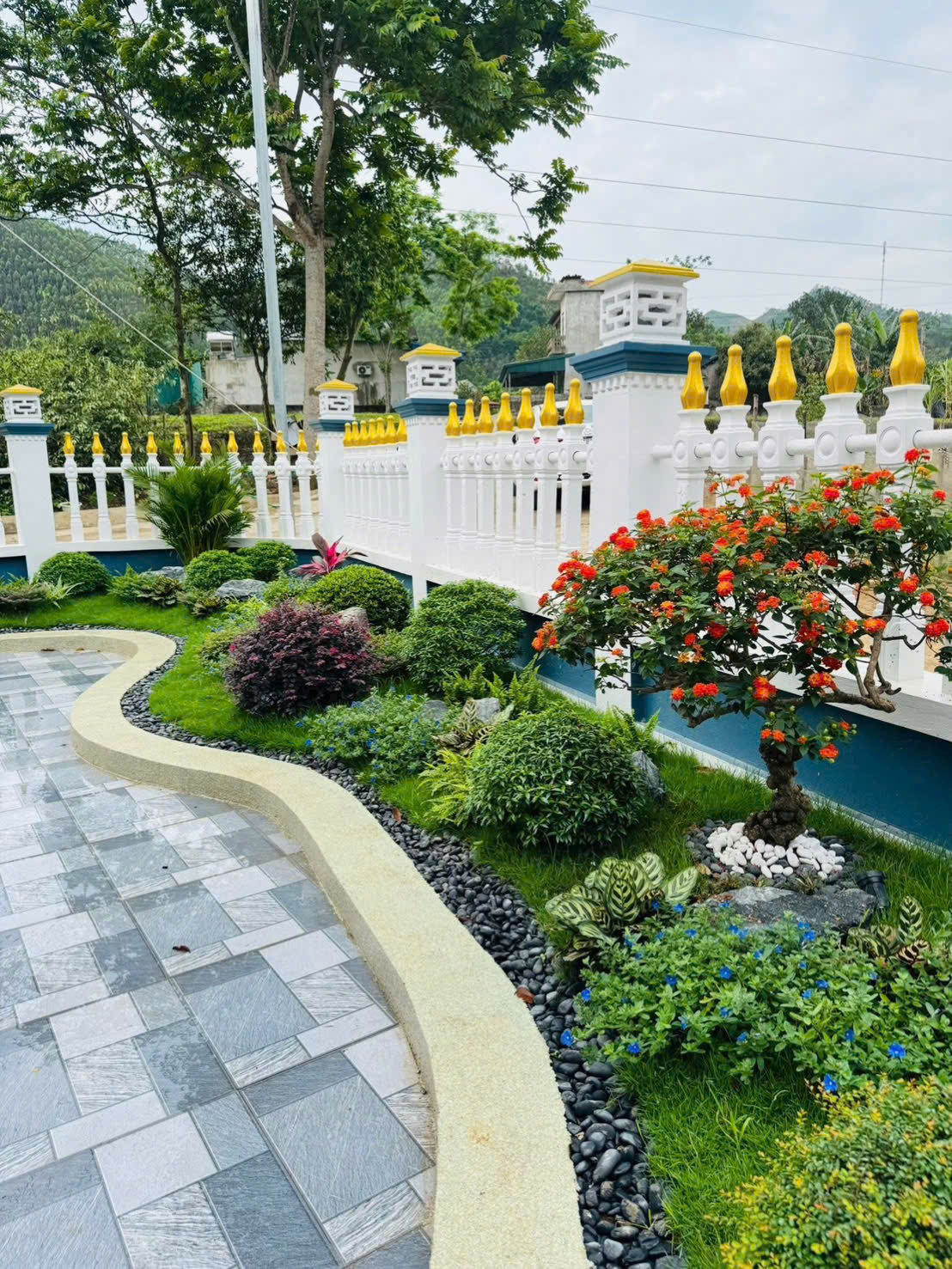 Thi công cảnh quan sân vườn, cây công trình