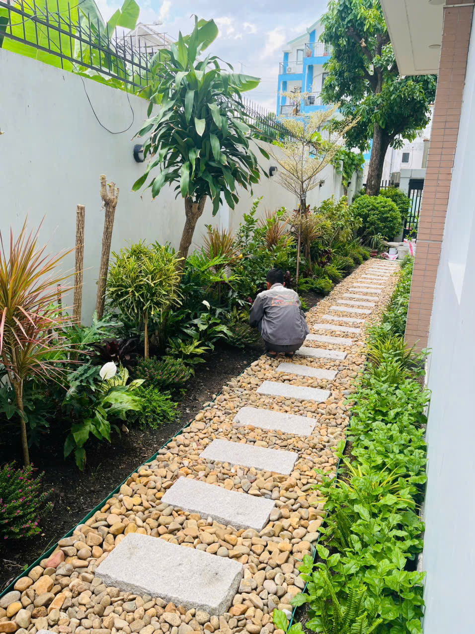 Thi công cảnh quan sân vườn và công trình - Kiến tạo kỳ quan xanh