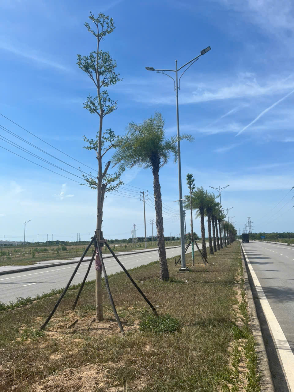 đơn vị thi công cảnh quan khu công nghiệp uy tín