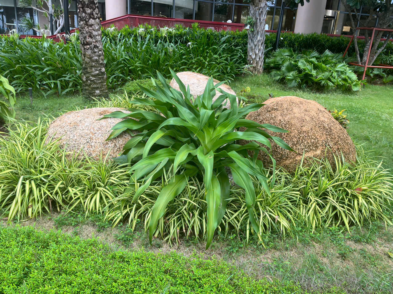 Thi công cảnh quan khuôn viên công ty