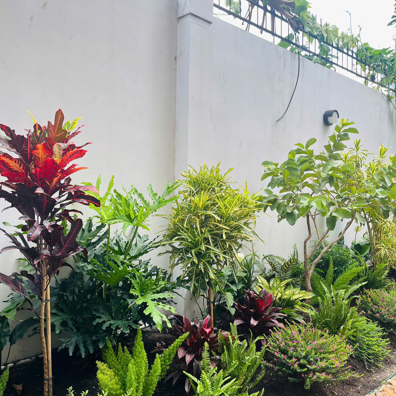 Báo giá minh bạch dịch vụ cây xanh của Sóc Garden