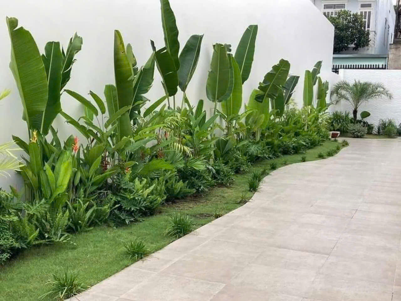 Không biết trồng và chăm cây nên chọn cây gì?