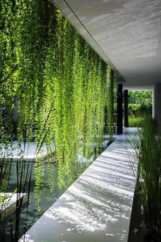  Tiểu cảnh theo chủ đề