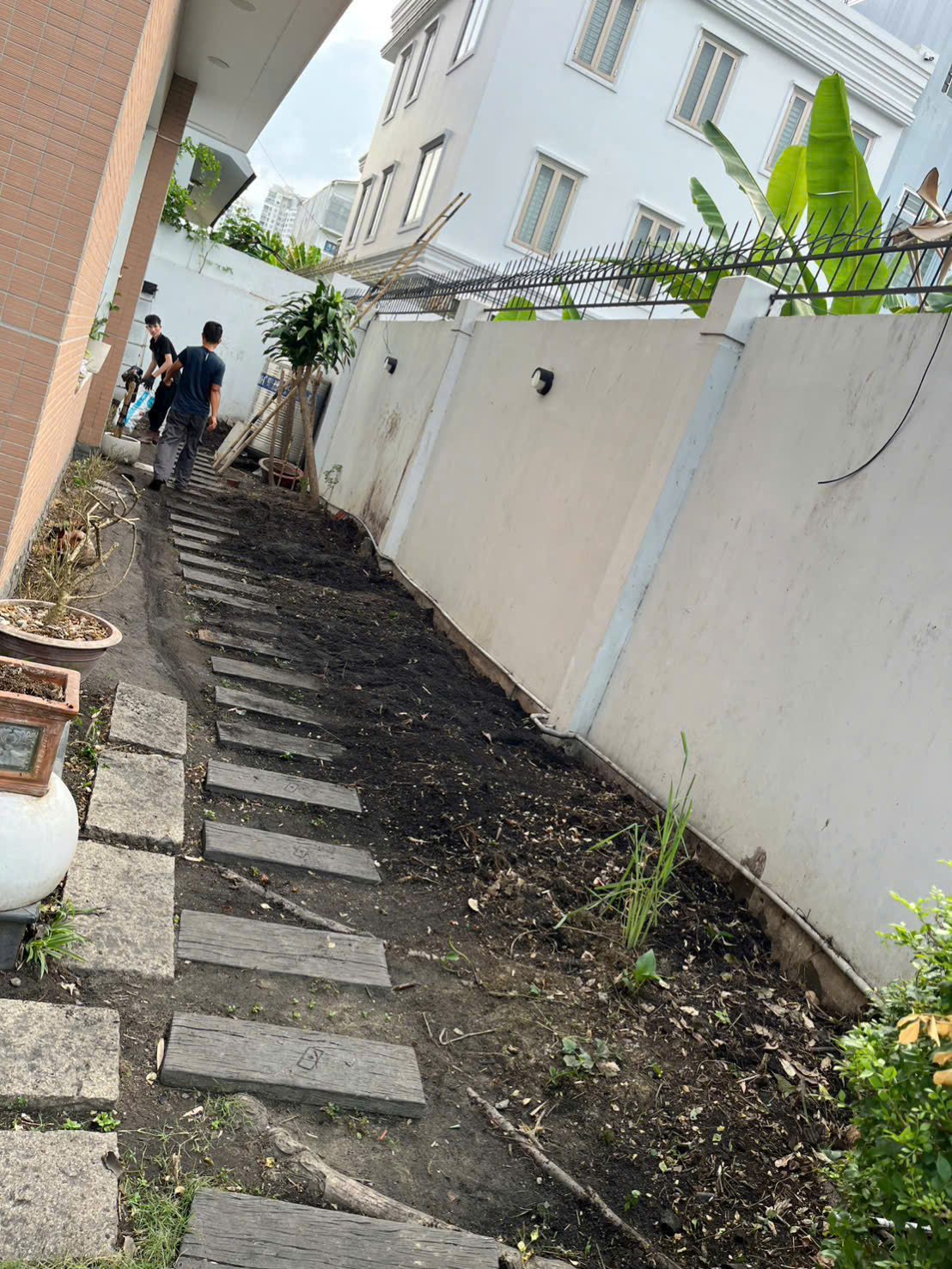 Thi công cảnh quan sân vườn nhà chị Hương tại quận 2 (rộng 3m x dài 18m)