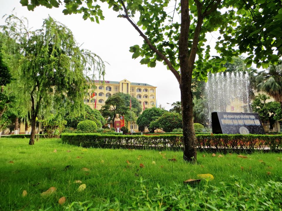 Khơi Nguồn Cảm Hứng và Sự Sáng Tạo