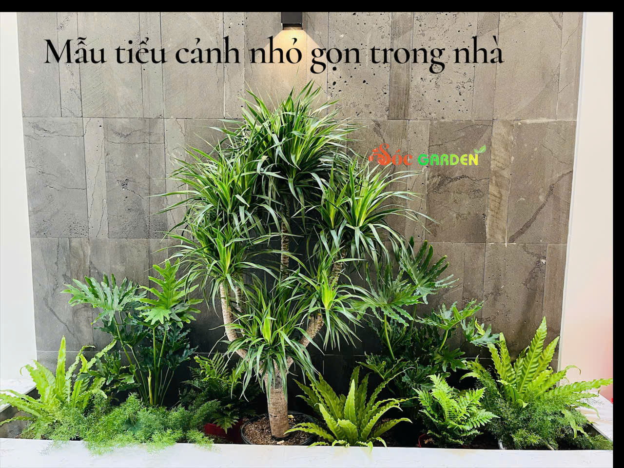 Giải pháp Toàn diện từ Sóc Garden