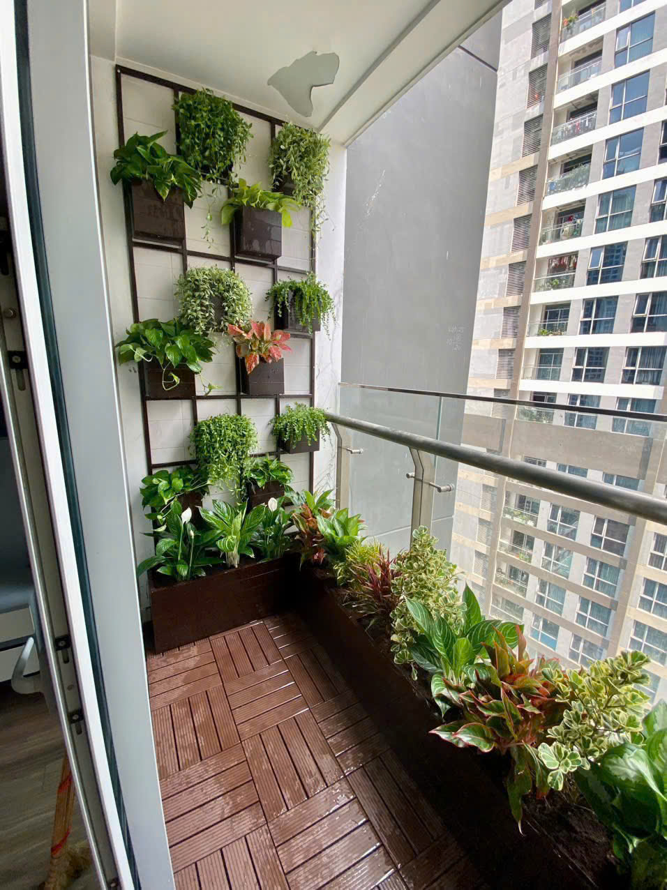 Gợi Ý Cây Xanh Phù Hợp Cho Căn Hộ Chung Cư