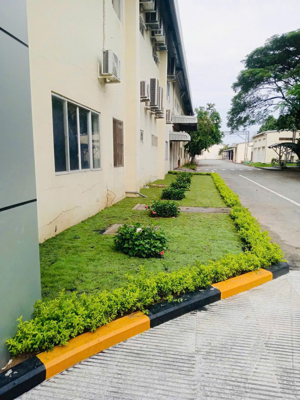 Dịch vụ bảo dưỡng cây xanh định kỳ