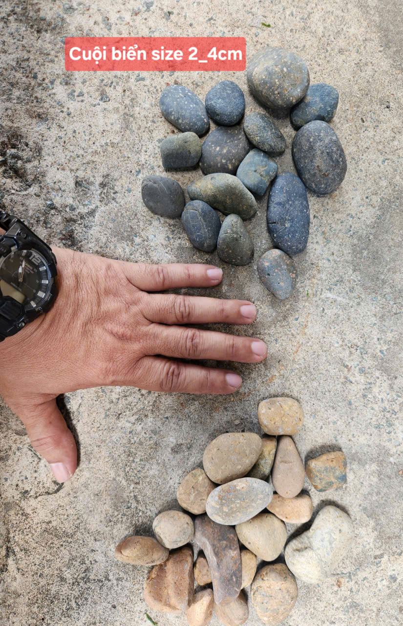 Sỏi cuội trải nền 