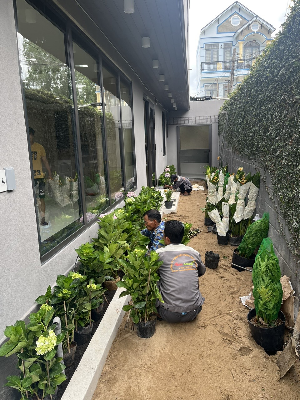 Thi công cải tạo sân vườn chuyên nghiệp