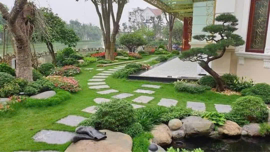 Cây cảnh cho biệt thự