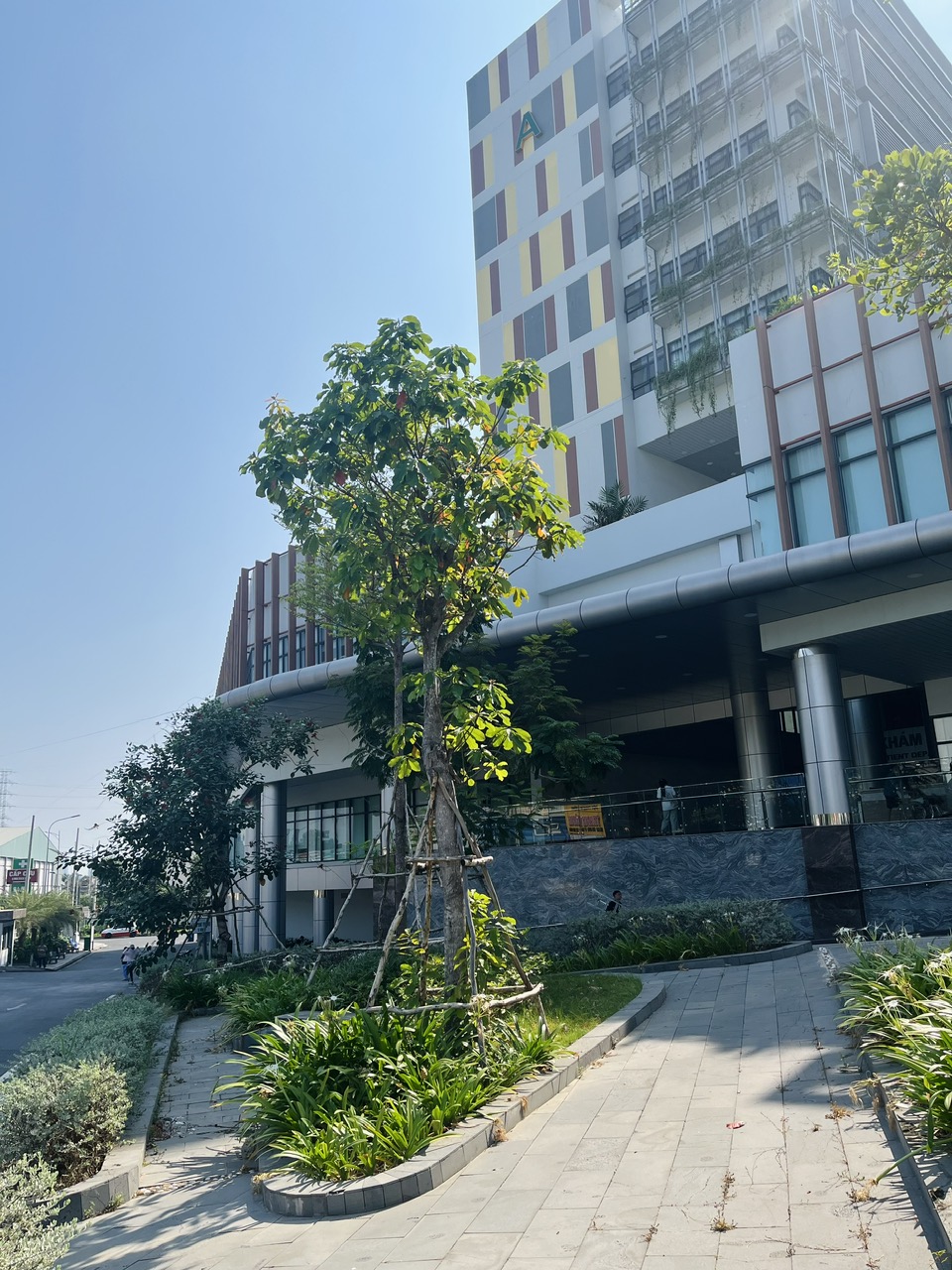  Chúng tôi lựa chọn kỹ lưỡng những giống cây ngoại thất có sức sống mãnh liệt