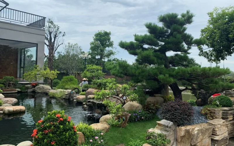 Thi công cảnh quan sân vườn cho biệt thự