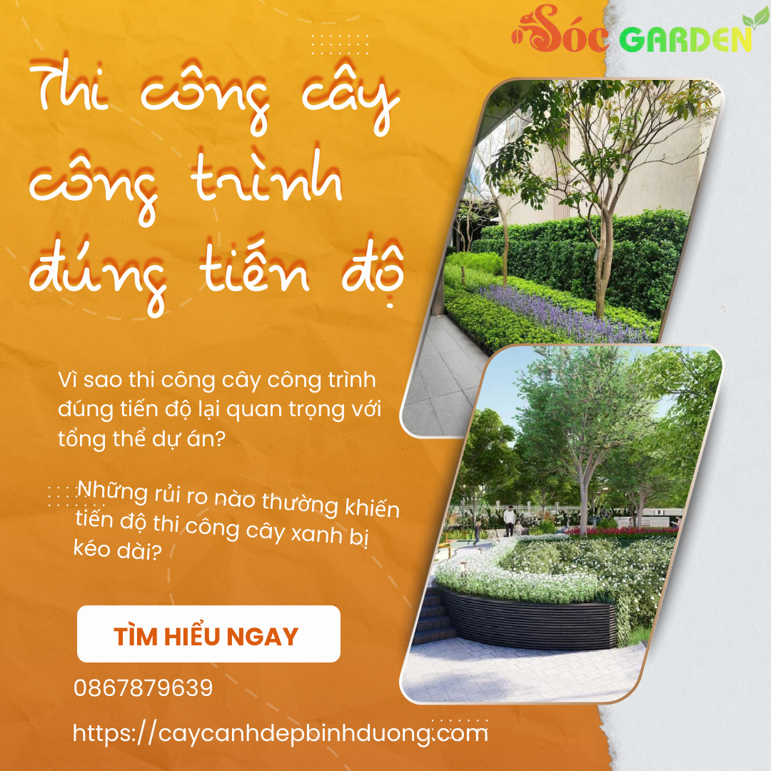 Thi công cây công trình đúng tiến độ