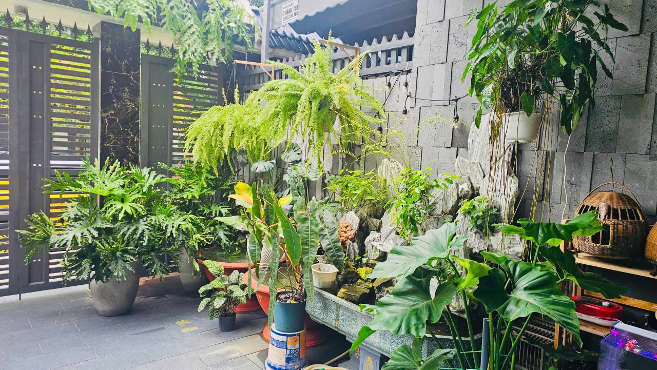 Dịch vụ thi công cảnh quan sân vườn của Sóc Garden