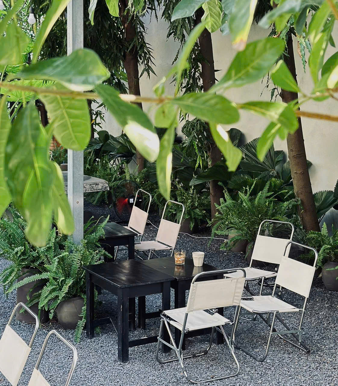 Sóc Garden – Nâng tầm không gian quán cafe bằng nghệ thuật cây xanh