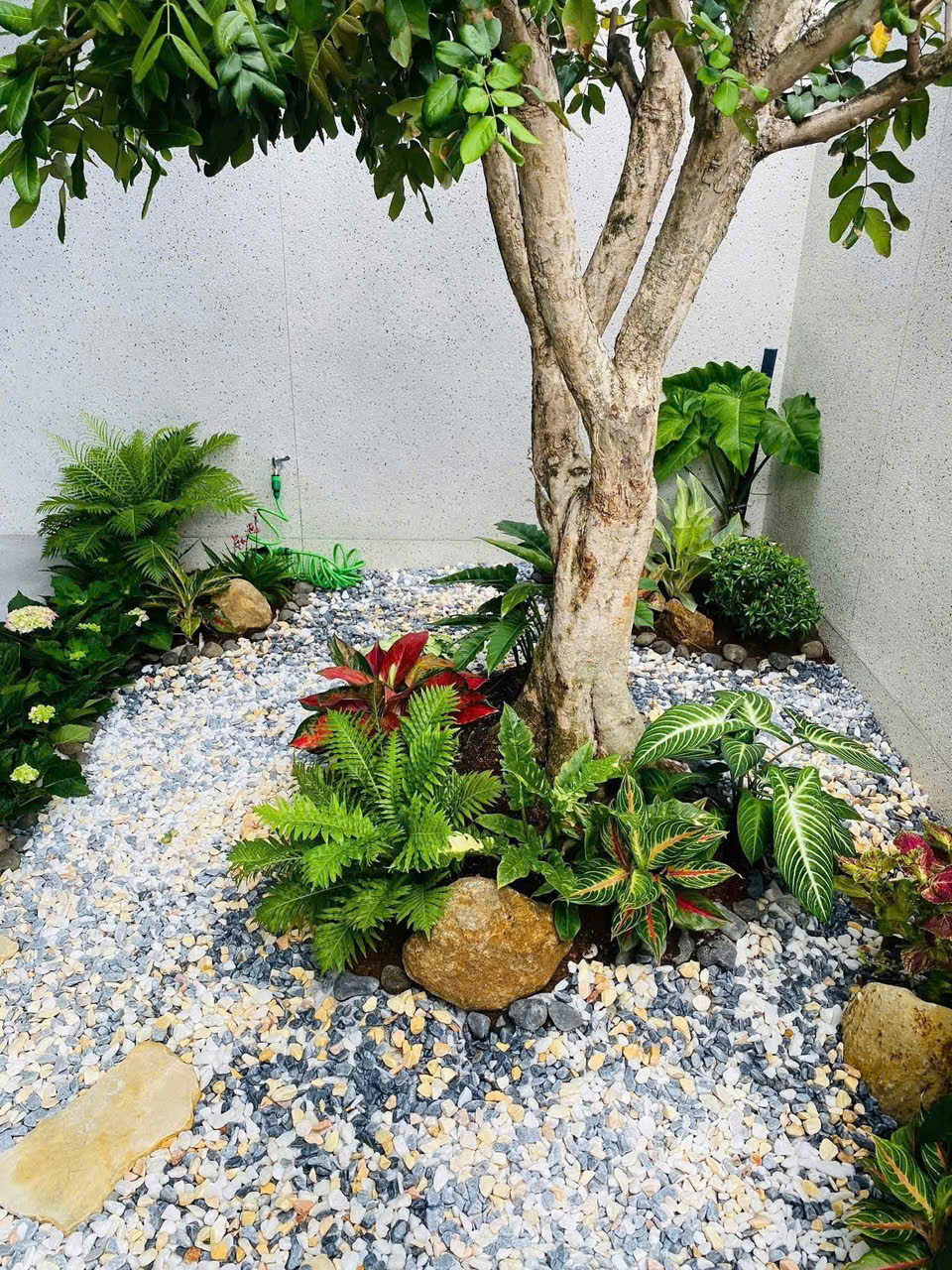 Thi công sân vườn trước nhà