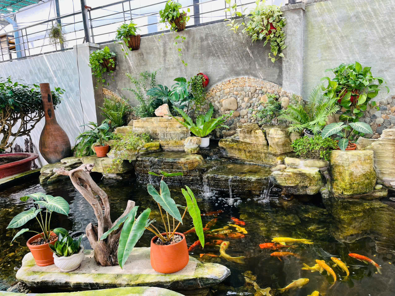 Decor Hồ Cá Koi Đơn Giản