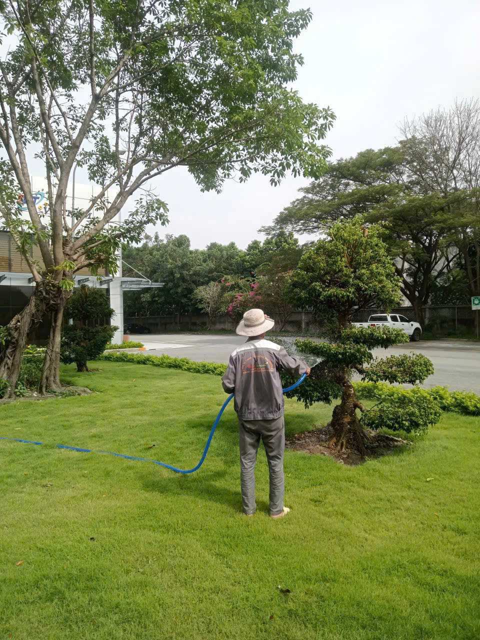 Chúng tôi giúp tạo dựng một môi trường làm việc trong lành, xanh mát
