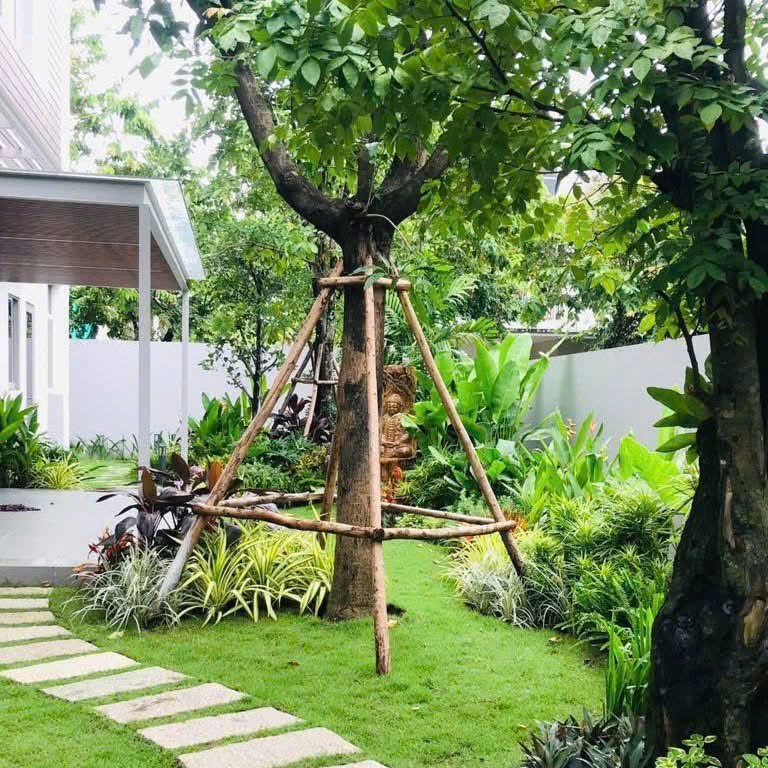 Kết Hợp Cây Công Trình và Cây Trang Trí Nhỏ