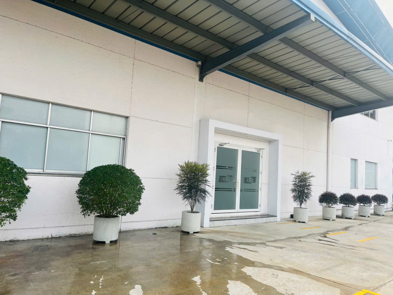 Cung cấp cây xanh cho công ty tại KCN VSIP
