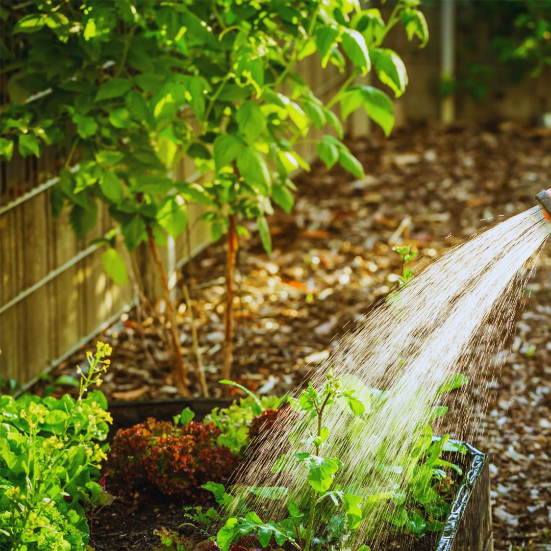 Thi công cây công trình theo bản vẽ