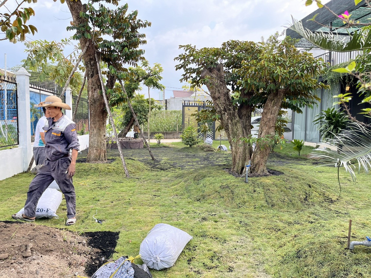 Thi công cảnh quan sân vườn tại Bình Dương