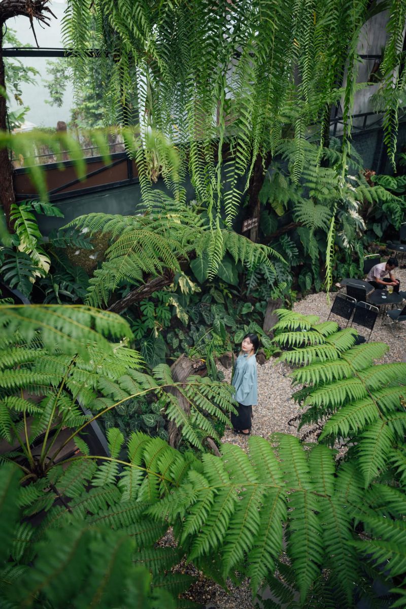 Decor quán cafe bằng cây xanh