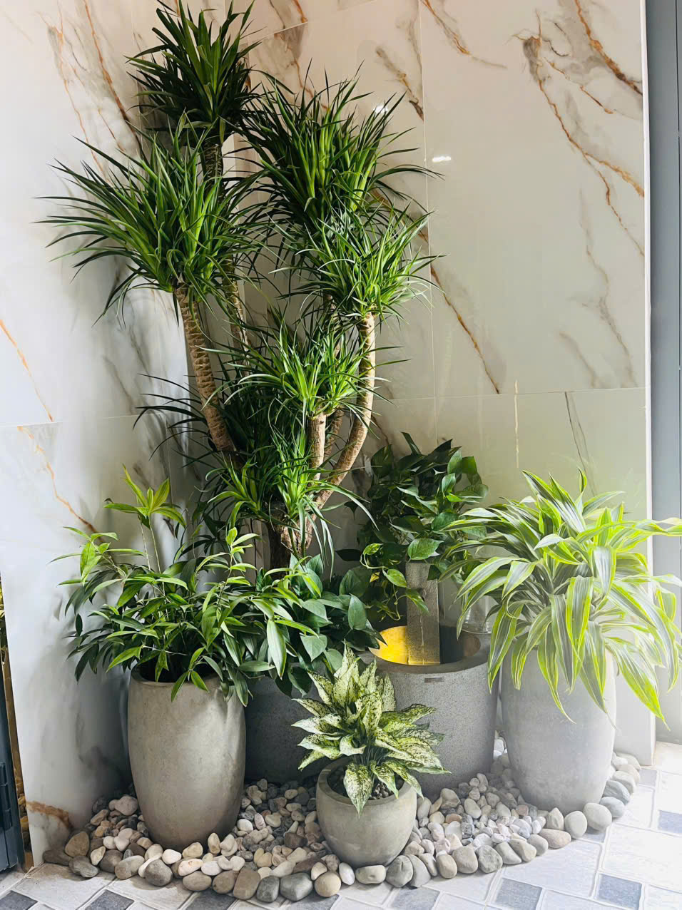 Thi công sân vườn phong thủy