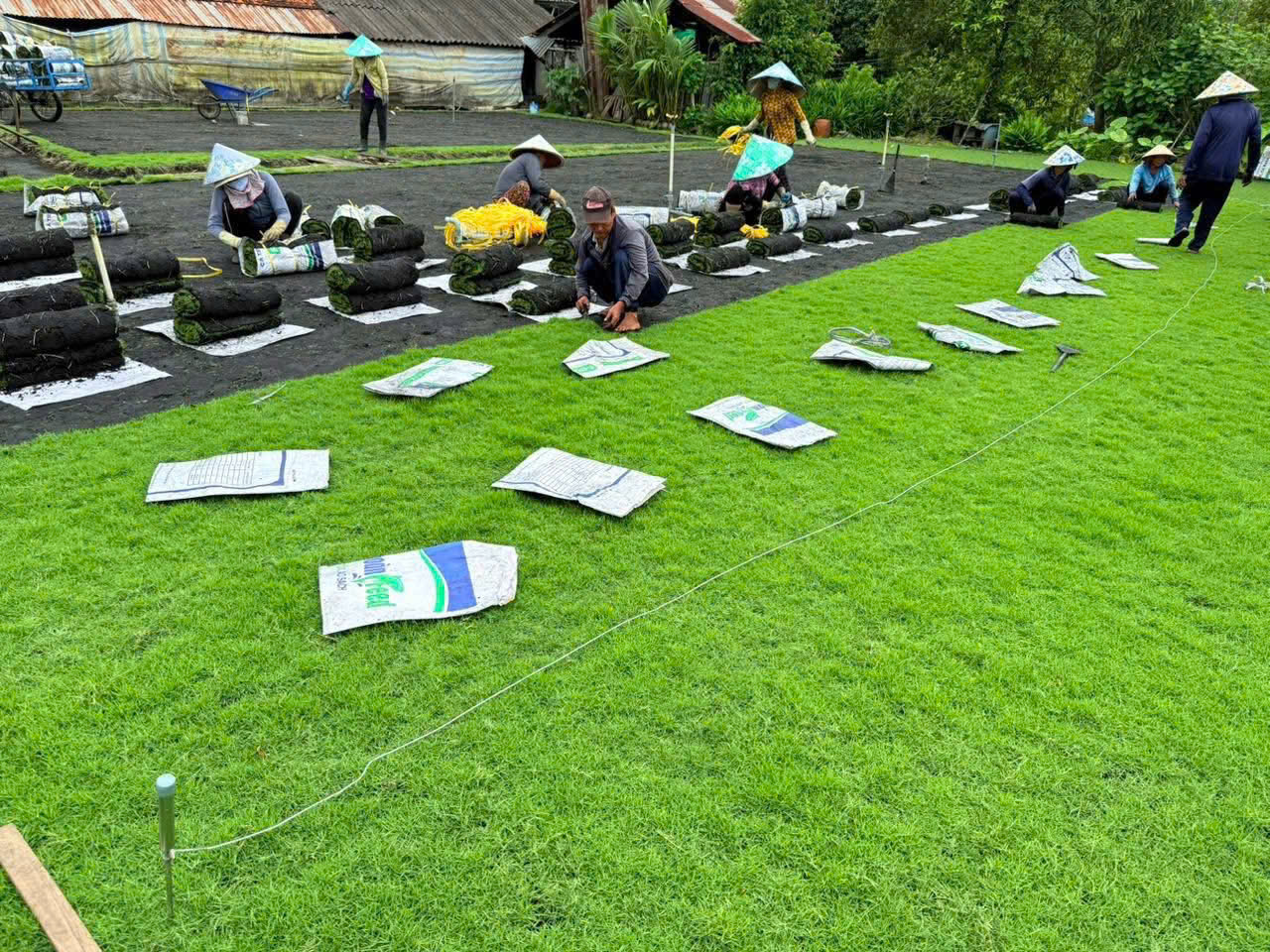 Thi công sân vườn mini