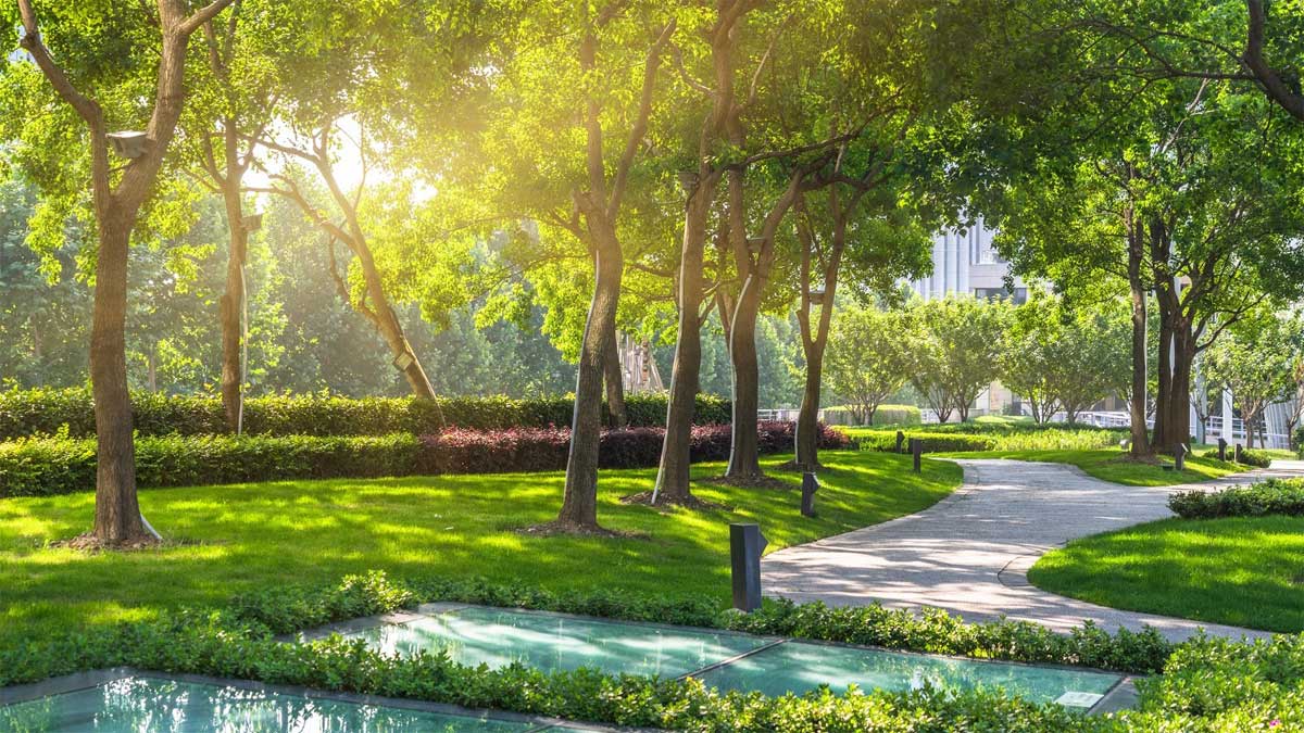 Thi công cây công trình theo bản vẽ