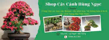 Top 5 Vườn Cây Cảnh Uy Tín Nhất Dĩ An