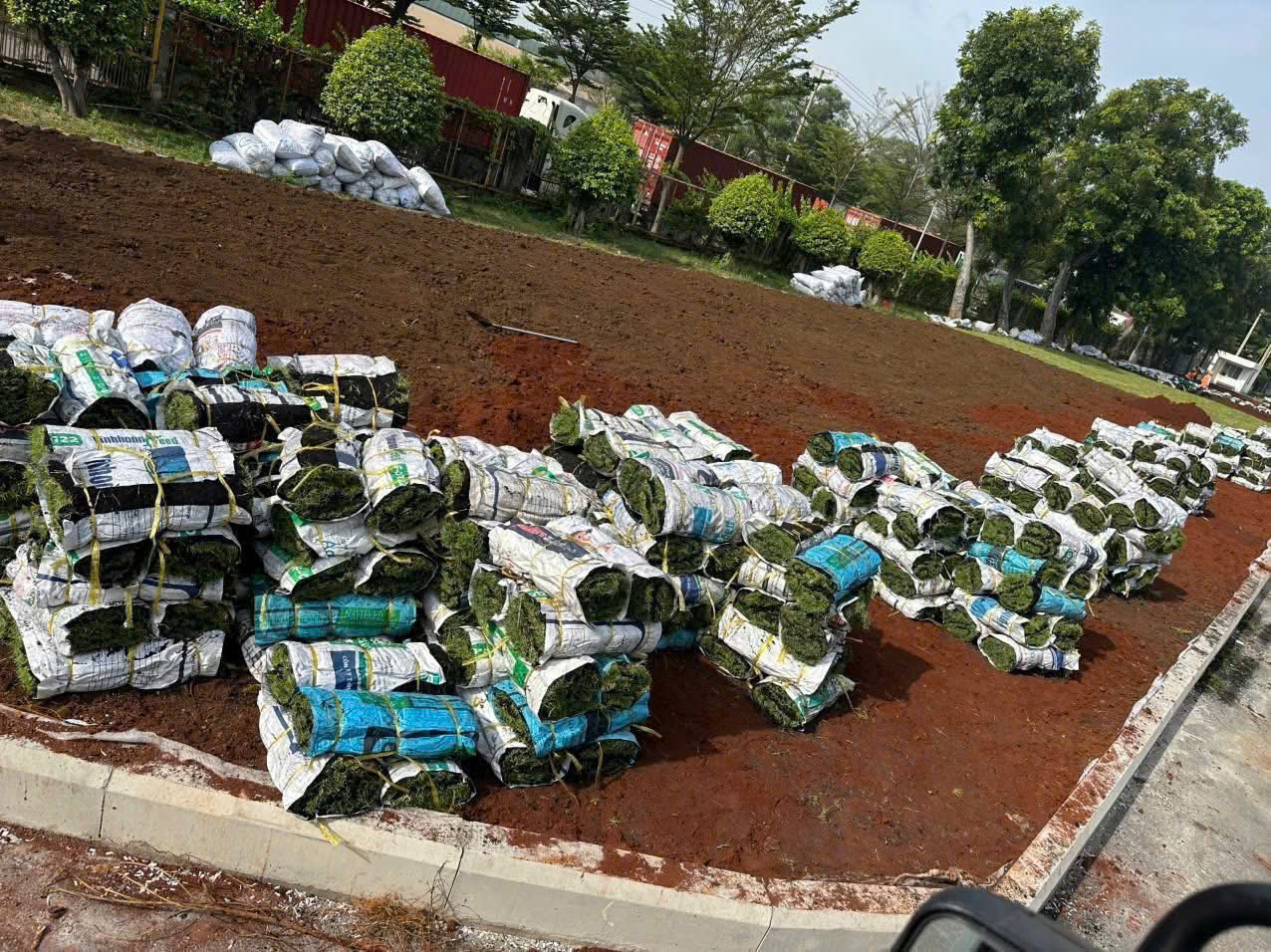 Thi công sân vườn mini