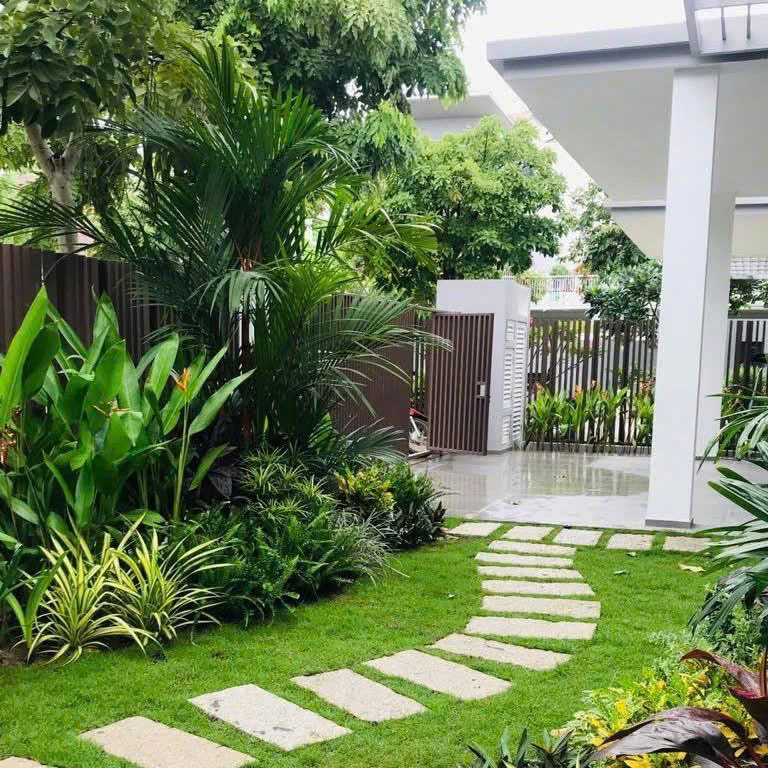 sóc garden chuyên cung cấp đa dạng cây