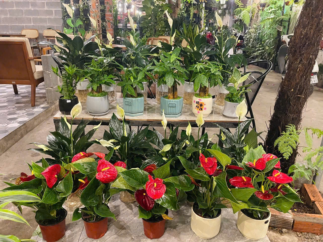 Decor quán cafe bằng cây xanh