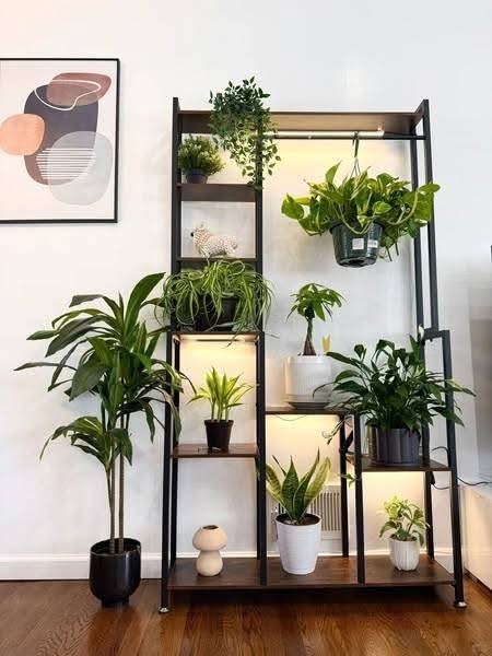 Lợi ích của cây để bàn 