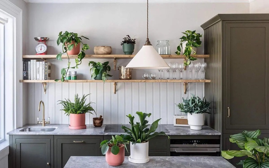 Cây xanh hóa giải phong thủy xấu