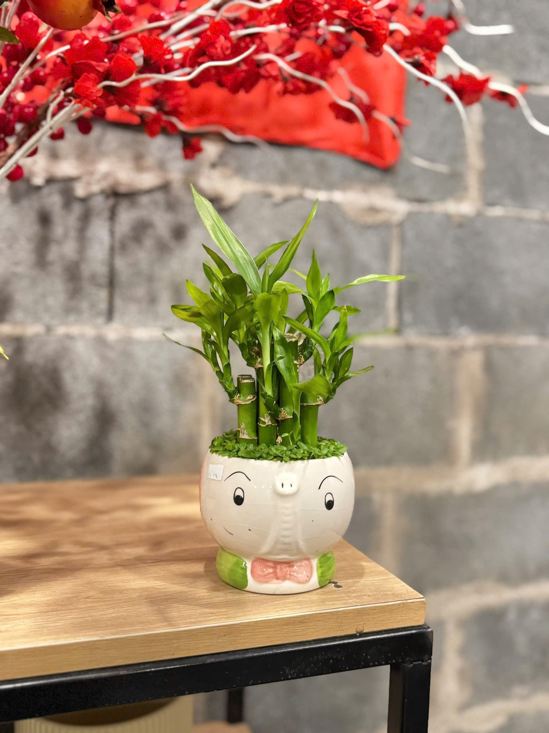 Quà tặng phong thủy