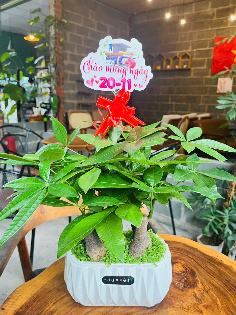 Sinh năm 1960 hợp phong thủy cây kim ngân