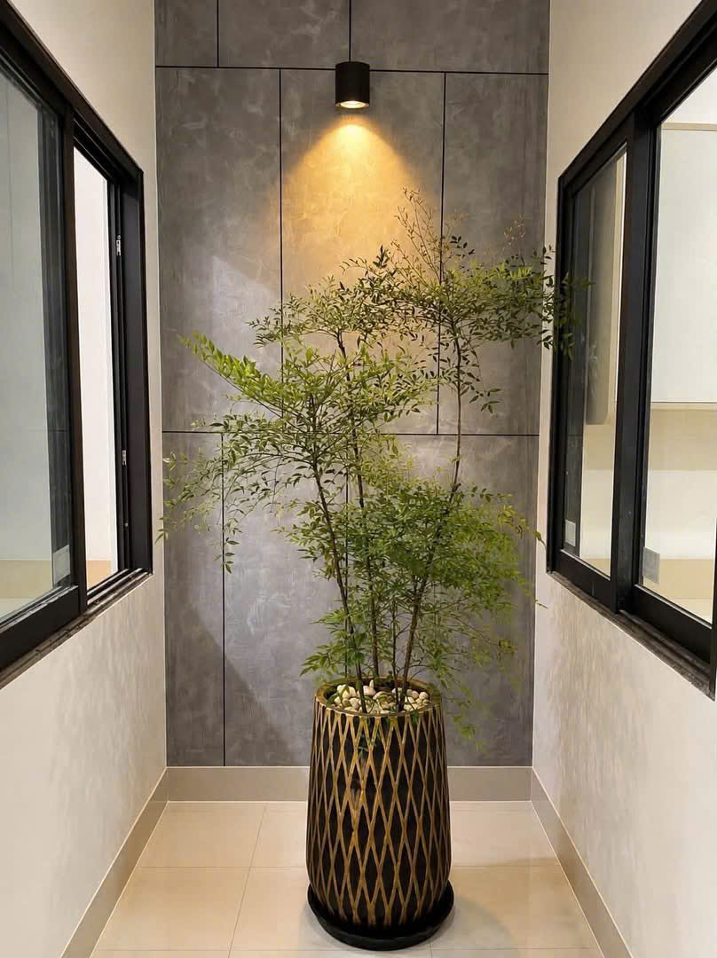 Điểm xuyết không gian nội thất và văn phòng