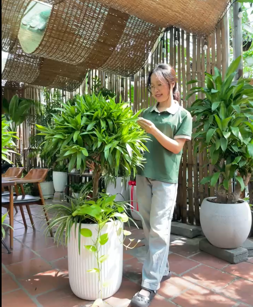 Làm quà tặng doanh nghiệp, sự kiện, sinh nhật, tân gia