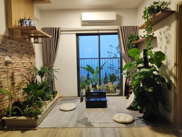 Cây nội thất trang trí nhà ở
