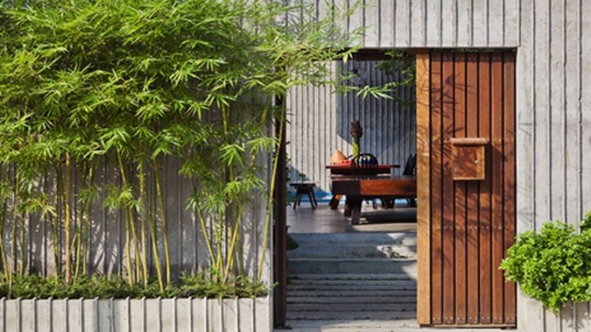 Cây phong thủy nên đặt ở đâu