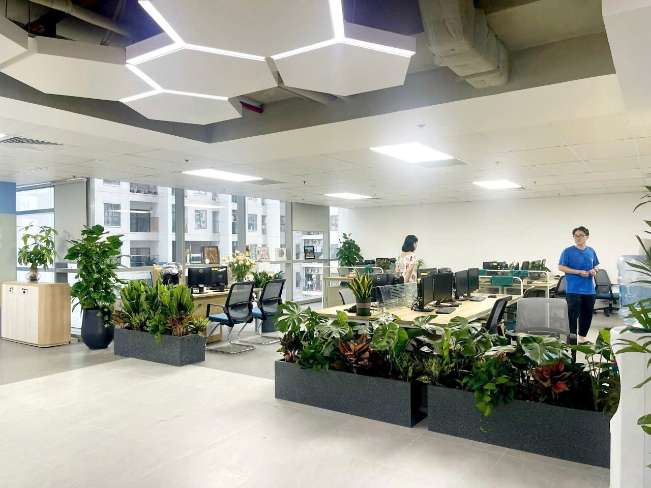 Cây quà tặng văn phòng ý nghĩa