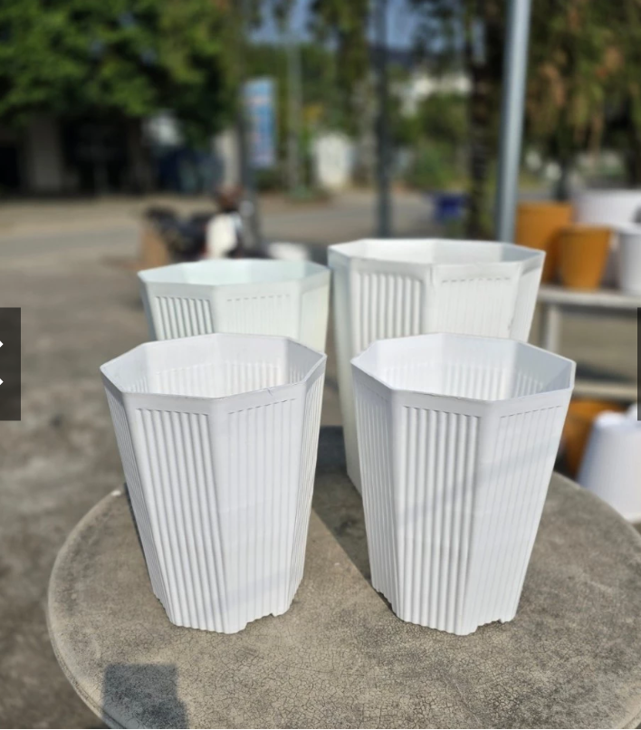  Chậu nhựa gân bát giác có mức giá phải chăng