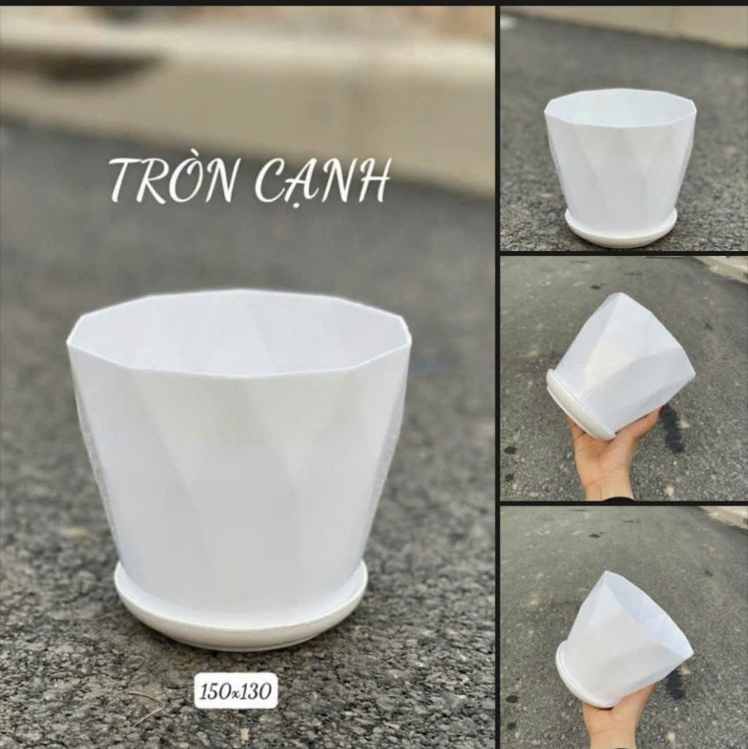 Chậu kim cương cạnh tròn trồng cây