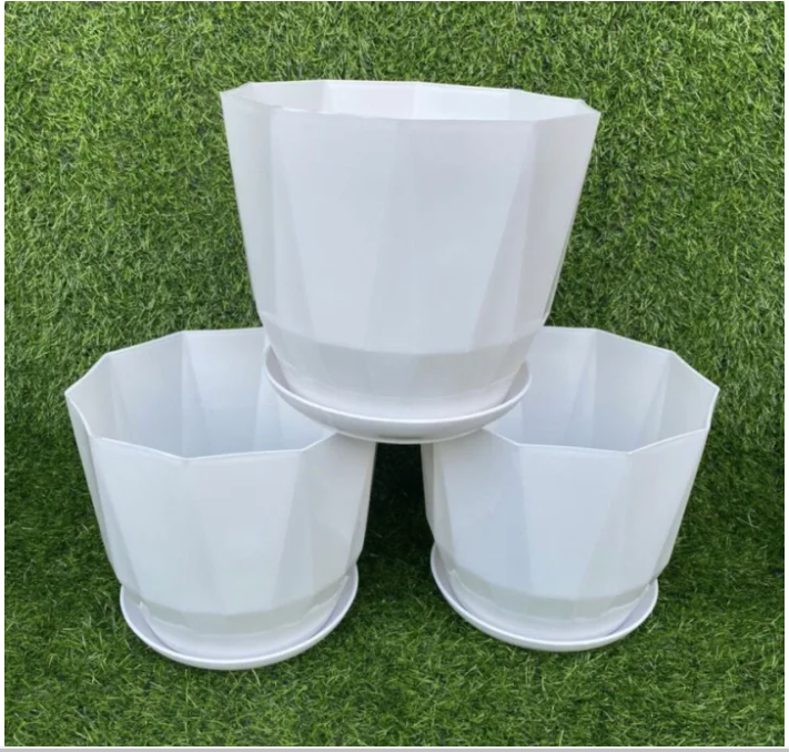 Chậu kim cương tròn cạnh uy tín