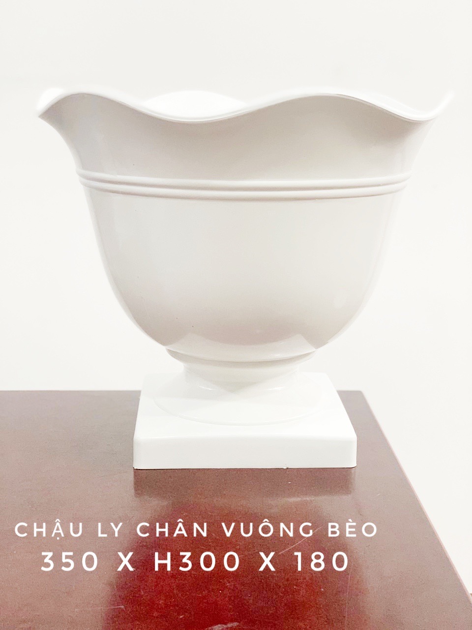 Chậu Ly Chân Vuông Bèo 350x300x180 Cm