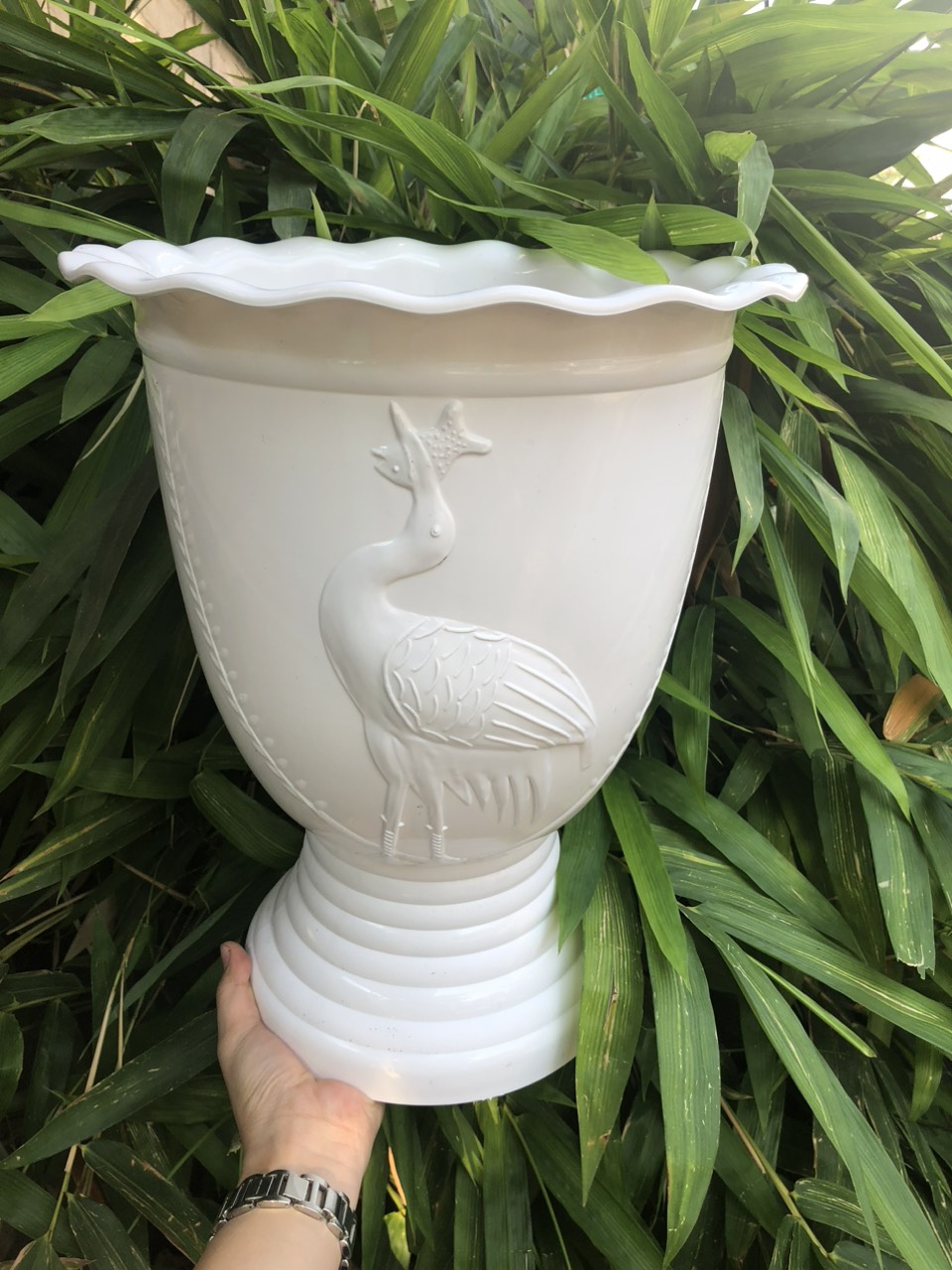 Chậu Ly Con Cò 410x470x280 Cm