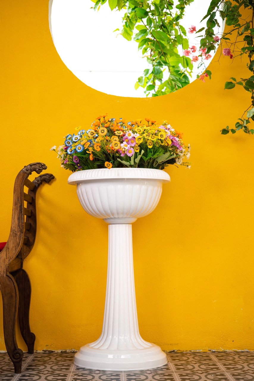 Chậu Ly Lớn Trung 450x600 Cm